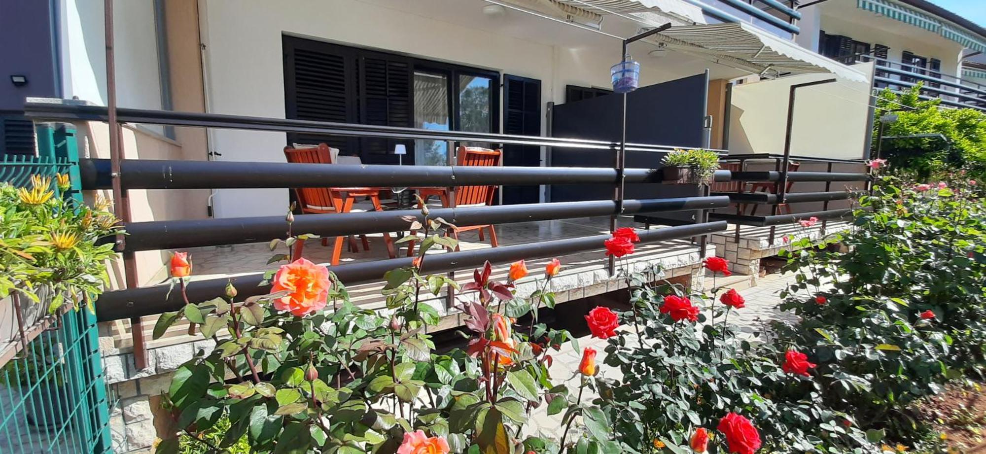Apartament Dany Fažana Zewnętrze zdjęcie